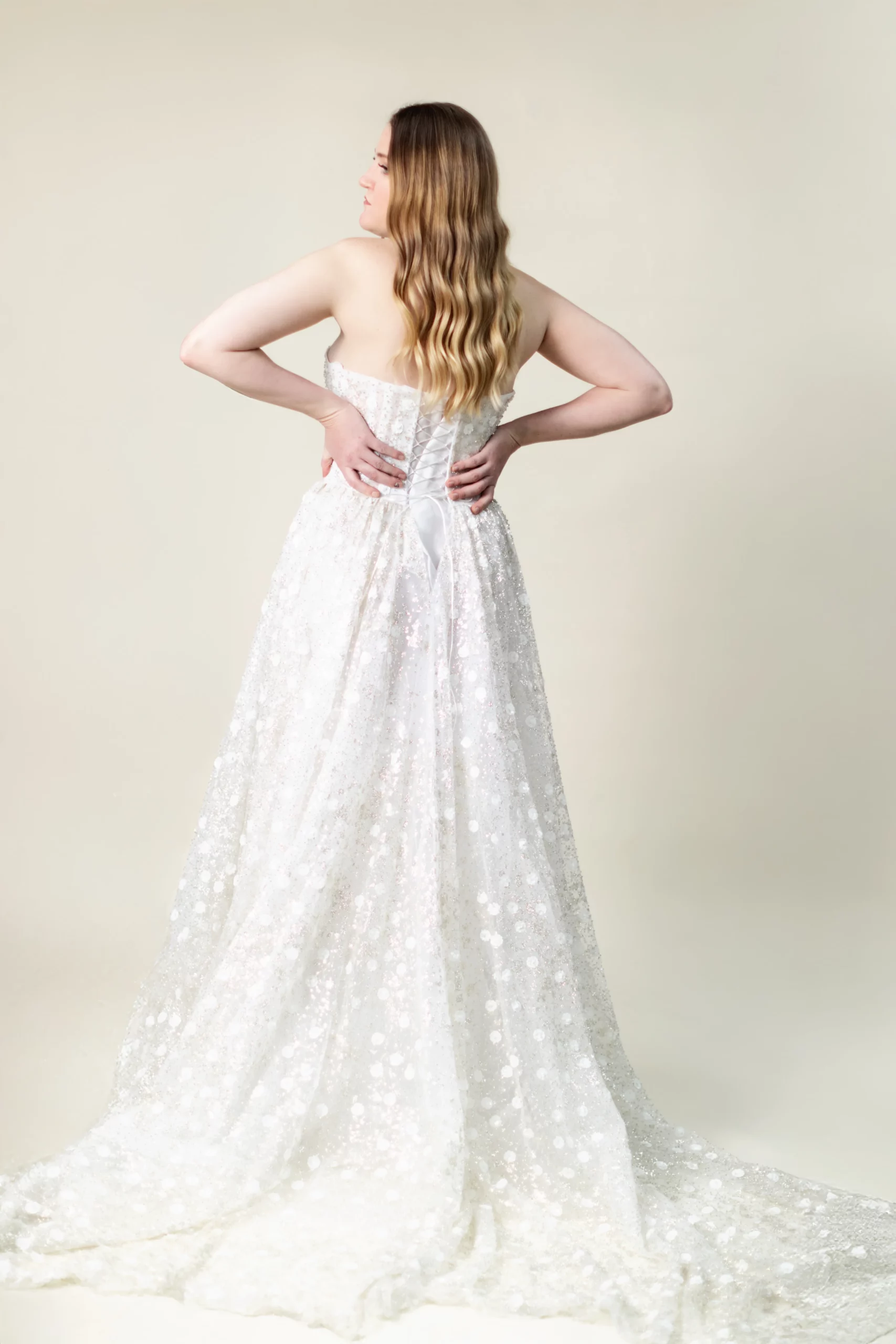 Marian strapless glitter tulle A-line wedding dress with floral appliqué – back view